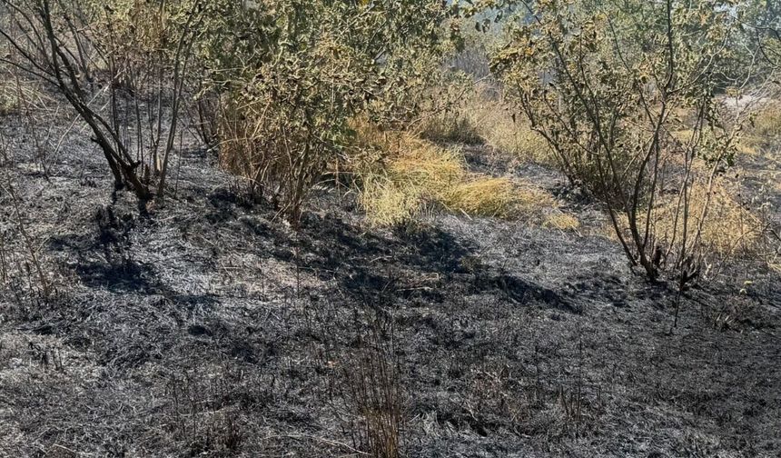 Zonguldak'ta anız yangını büyümeden söndürüldü