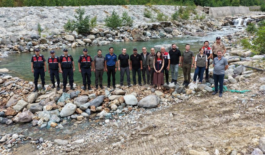 Artvin Murgul'da derelere 30 bin kırmızı benekli alabalık bırakıldı
