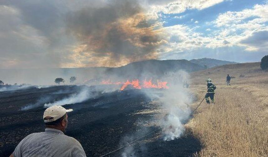 Çorum'da anız yangını
