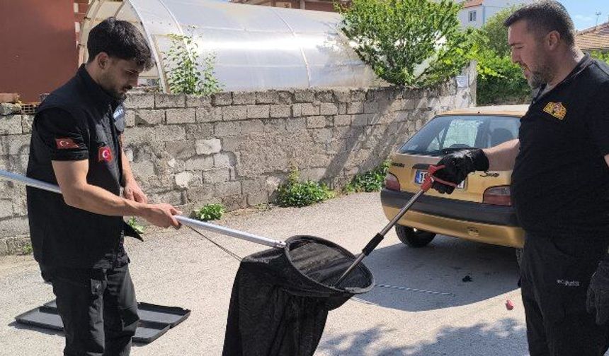 Çorum'da itfaiye ekipleri yılanı yakalayıp yaşam alanına bıraktı