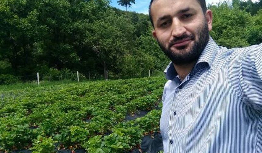 Çorum'da köye inen ayılar bahçelere zarar verdi