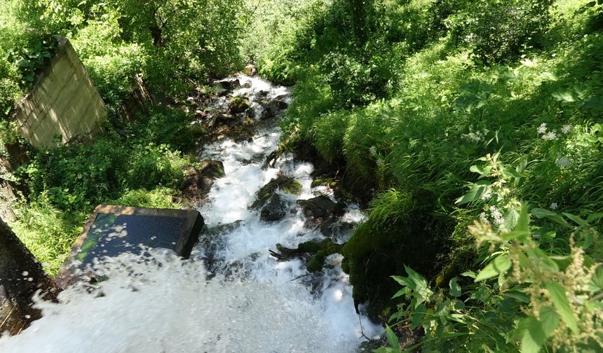 Dağların arasında 3 asırlık yaşam pınarı; saniyede 120 litre akıyor / Ek fotoğraflar