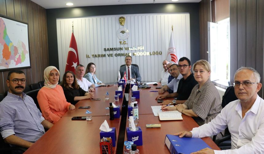 Samsun'da fındık rekolte tahmini çalışmaları tamamlandı