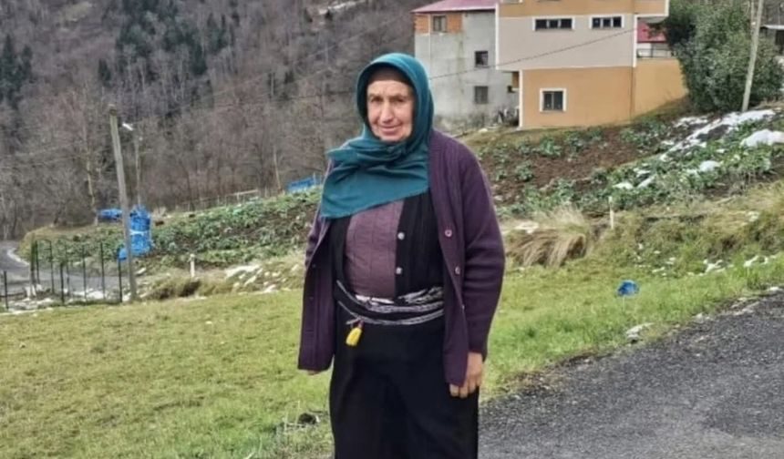 Trabzon'da 'ot biçme' kavgası: 1 ölü, 2 yaralı