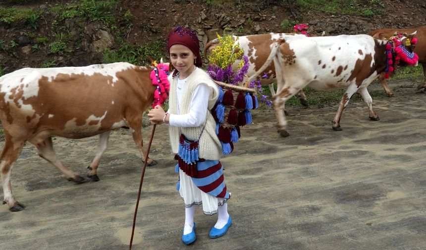 Trabzon'da süslü hayvanlar ve yöresel kıyafetlerle geleneksel yayla göçü / Ek fotoğraflar