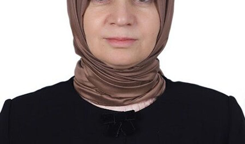 AK Parti Grup Başkanvekili Usta ve koruması kazada yaralandı