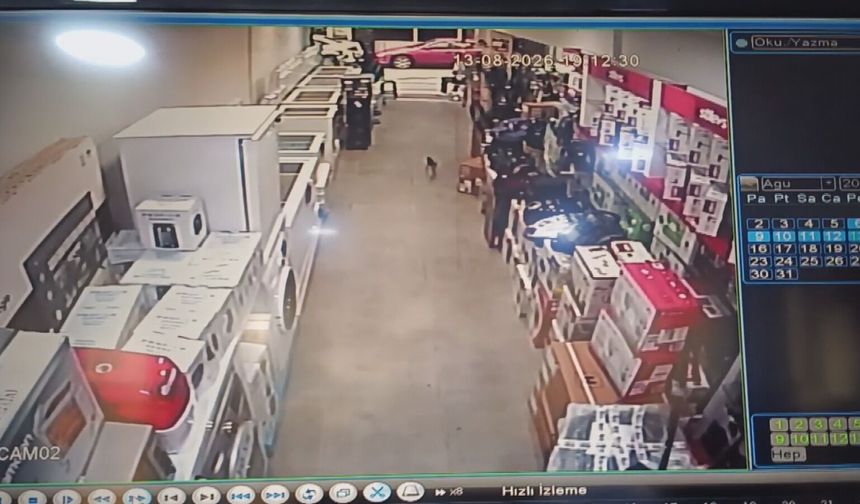 Amasya'da kurtarılan kedi, itfaiyecileri peşinden koşturdu