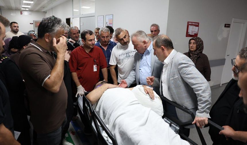 Arı kovanlarının bakımını yaparken iskeleden düşen belediye başkanı yaralandı