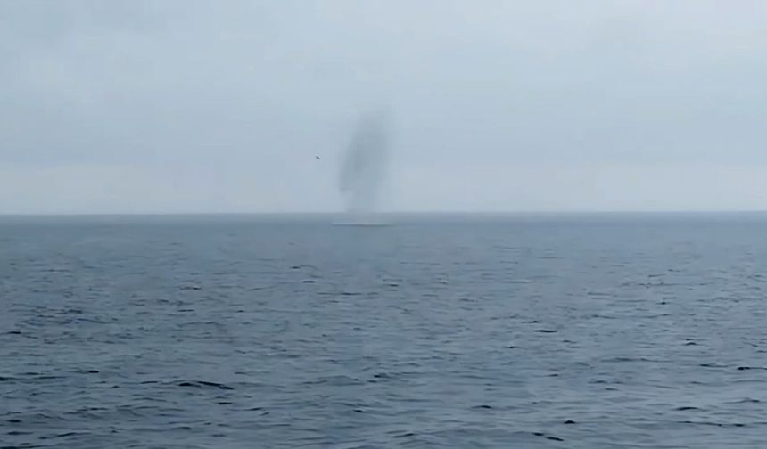Artvin'de denizde insansız hava aracı bulundu/Ek fotoğraflar
