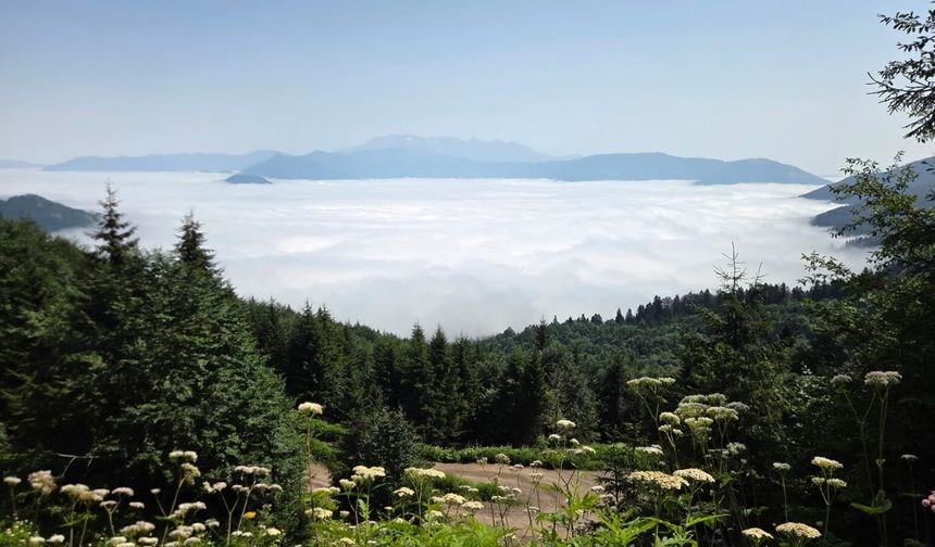 Artvin'de sis bulutu dronla görüntülendi