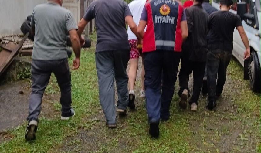 Artvin'de yüksekten düşen fındık işçisi yaralandı