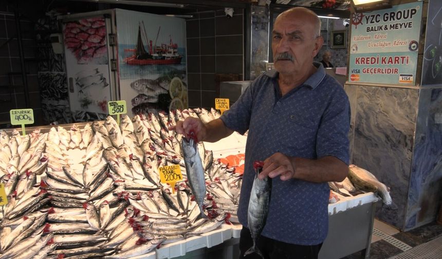 Av yasağı sona eriyor; balıkçılar palamuttan umutlu