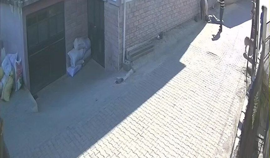 Balkondan düşen kadın hayatını kaybetti, olay kamerada