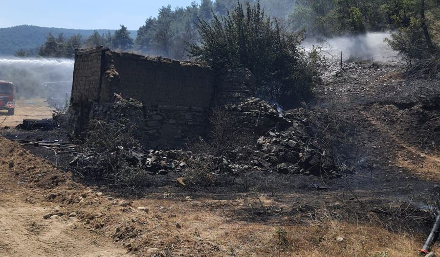 Bolu'da ot yangını eve sıçradı