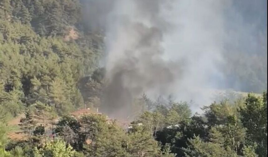 Bolu'nun Göynük ilçesinde orman yangını
