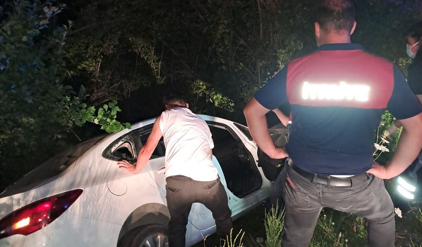 Cide'de otomobil şarampole yuvarlandı: 1 yaralı