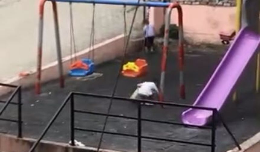 Çocuklar, oynadıkları parkı temizledi