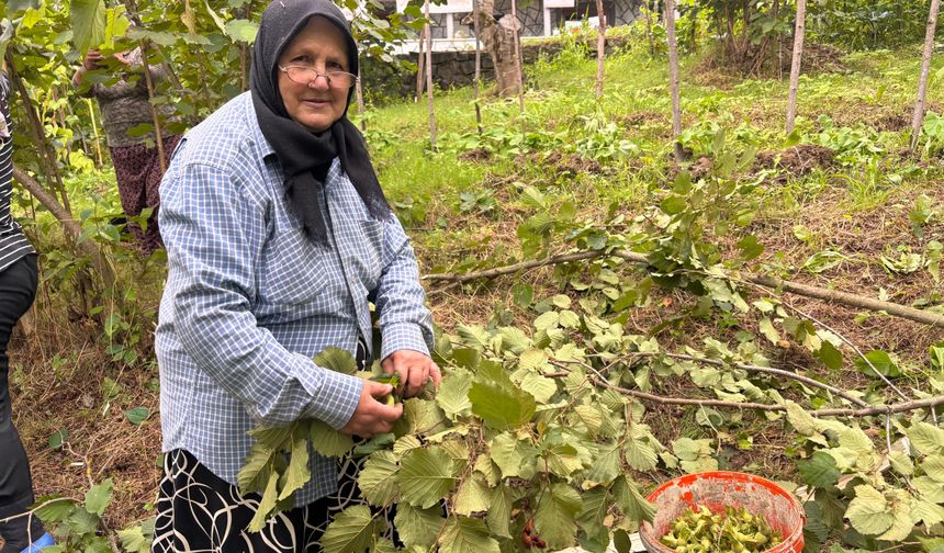 Eren Bülbül için yazılan şiirler kitaplaştırıldı