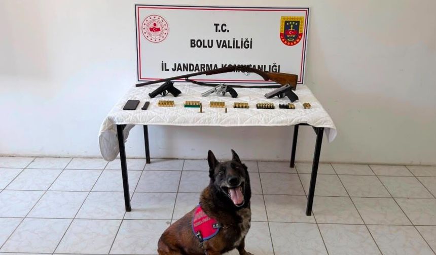 Evinde 3 tabanca ve ruhsatsız tüfek bulunan şüpheli tutuklandı