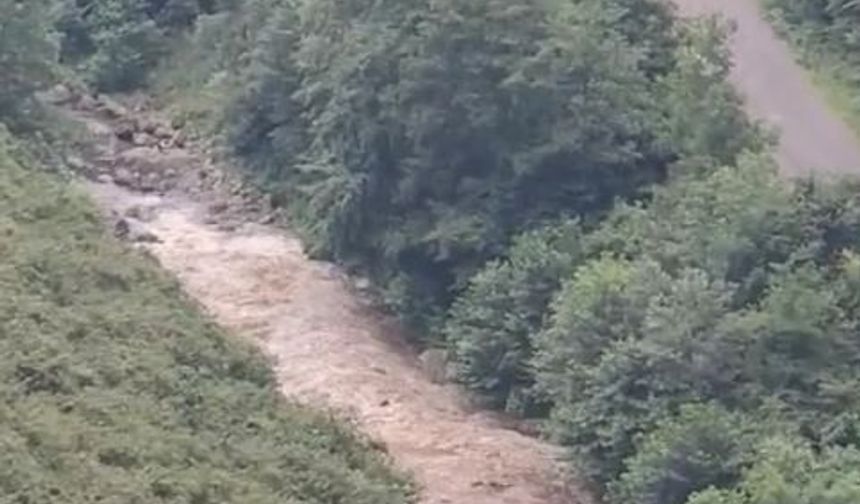 Giresun'da derede akıntıya kapılan 2 kızının ardından annenin de cansız bedeni bulundu (3)
