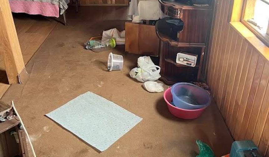 Karadeniz'de popülasyonu artan ayılar için uzmanından 'önlem alınmalı' uyarısı