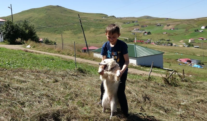 Karadeniz'in 'Sıfır Atık Bekçisi' Ufuk / Ek fotoğraflar