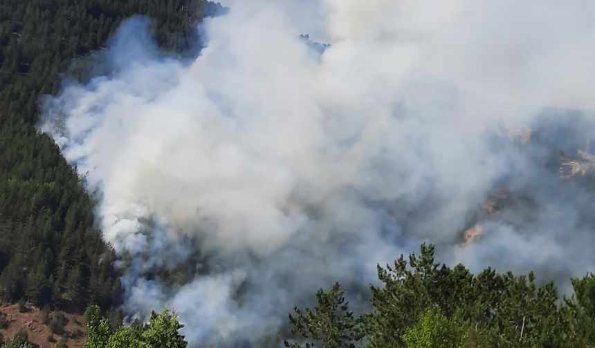 Kastamonu'da ormanlık alanda çıkan yangın kontrol altına alındı