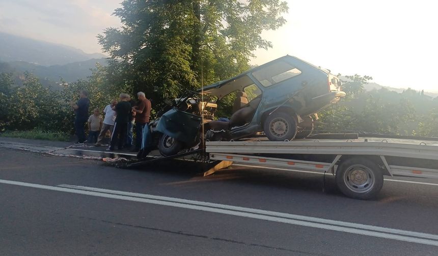 Ordu'da ağaca çarpan otomobilin sürücüsü öldü