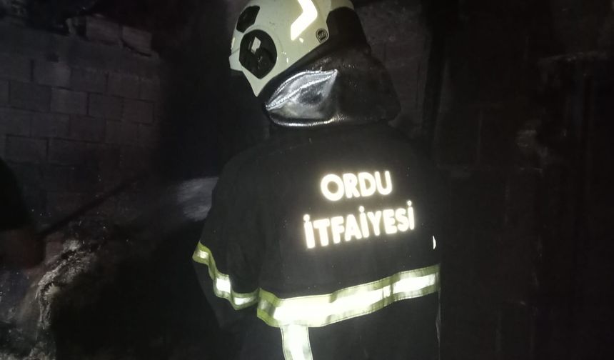 Ordu'da ahır yangını: 1 buzağı telef oldu