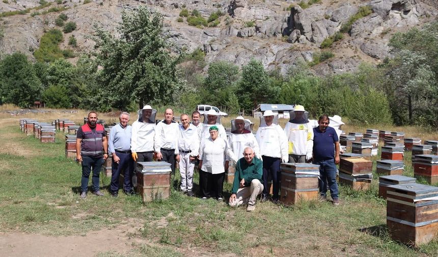 Ordu'da bal hasadına başlandı