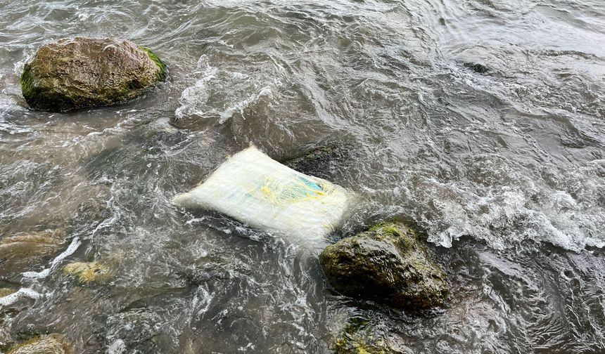 Ordu'da kıyıya vuran konteynerde inceleme