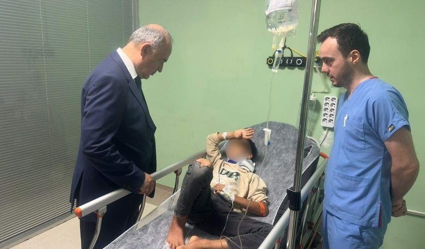 Ordu'da patpat kazası: 2 ölü, 11 yaralı