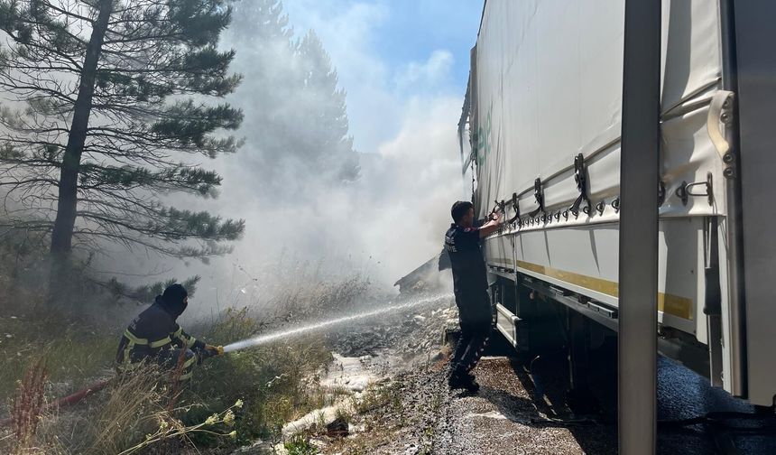Şeker yüklü TIR'ın dorsesinde çıkan yangın ağaçlara sıçradı