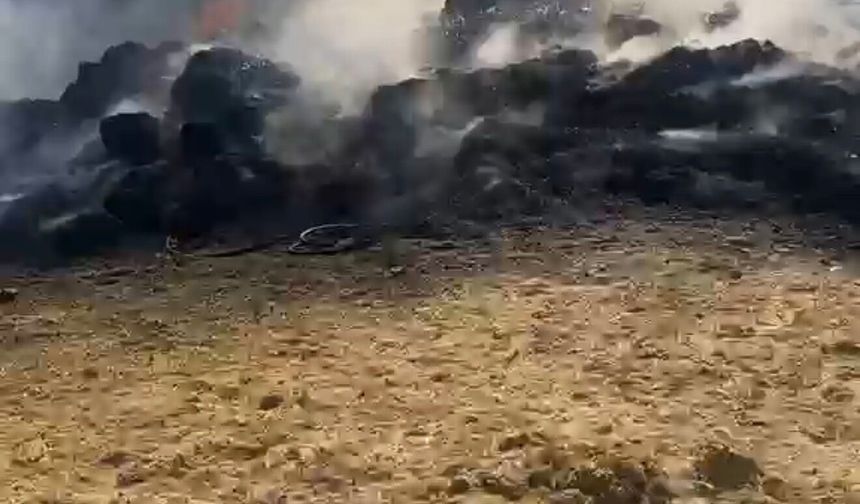 Tarlada çıkan yangında traktör ve patoz makinesi yandı