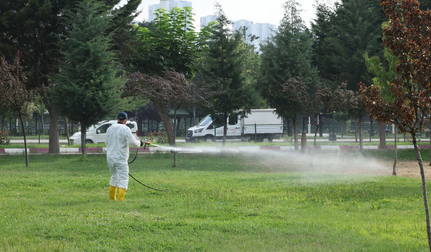 Tokat'ta sivrisinek ve haşerelere karşı ilaçlama seferberliği