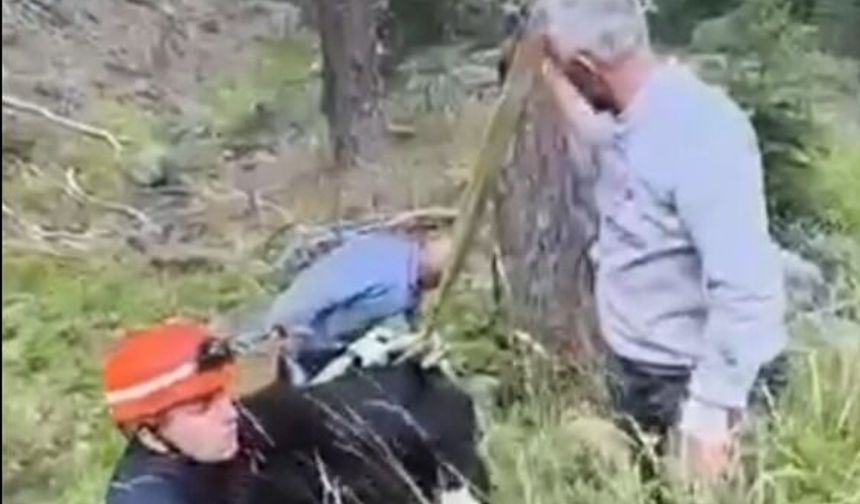 Uçuruma yuvarlanan ineği itfaiye vinçle kurtardı