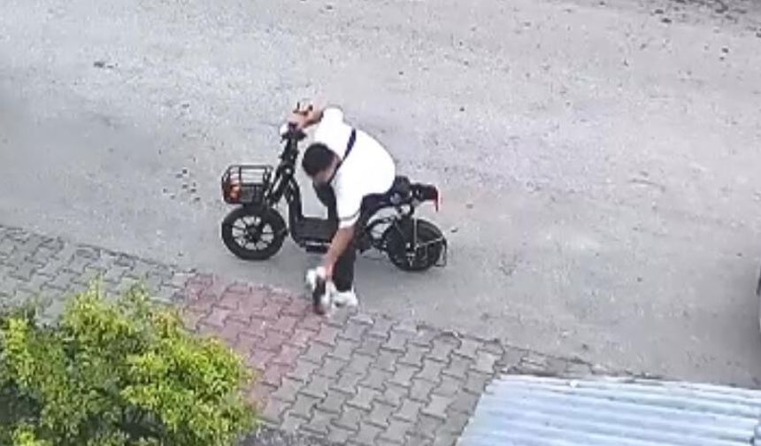 Yavru kediyi öpüp, boğan otizmli serbest bırakıldı