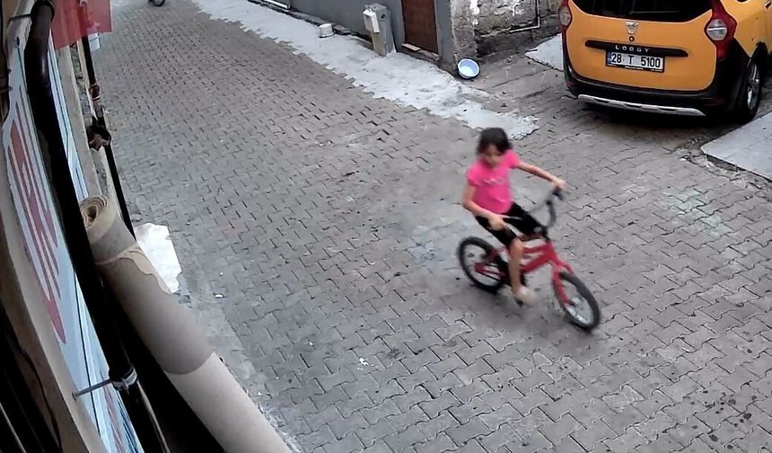 7 yaşındaki Nehir'in bayrak sevgisi kamerada