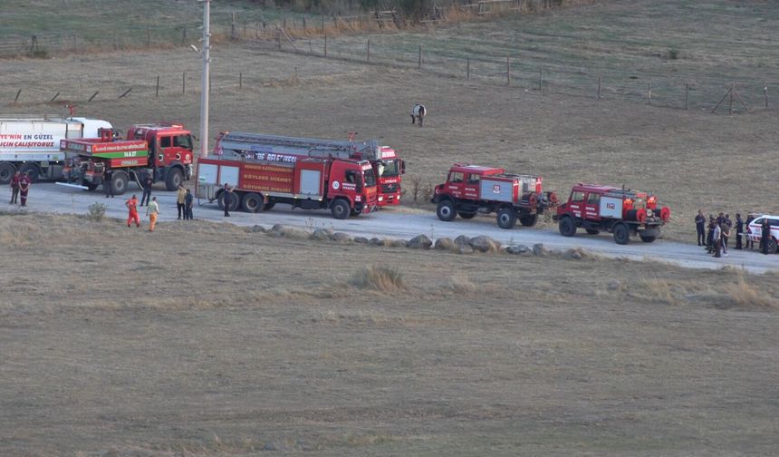 Anız yangınında alevler ormana sıçradı (2)