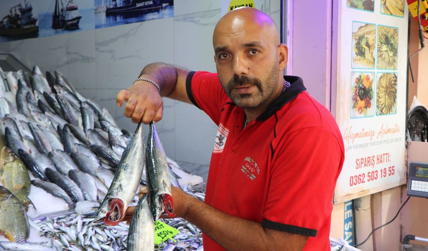 Av yasağı bitti, tezgahlar palamutla doldu