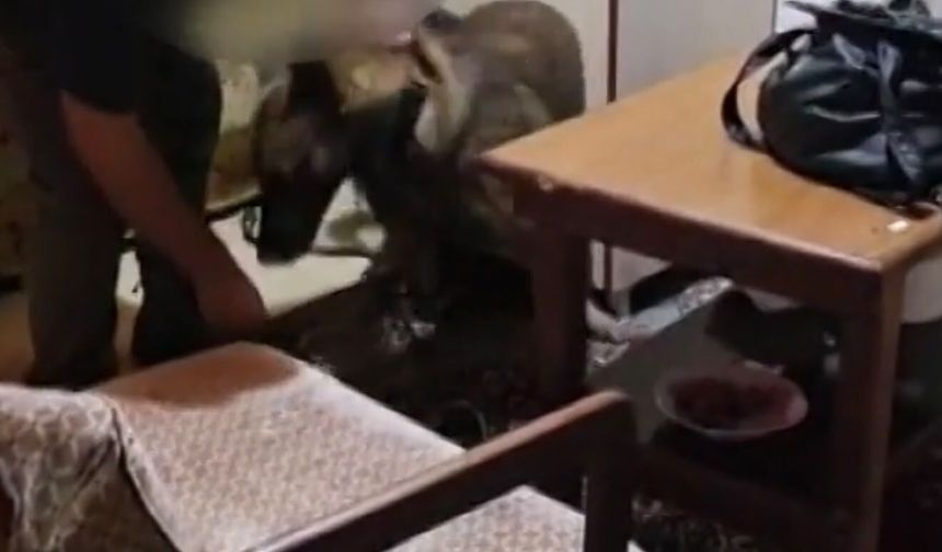 Bartın merkezli 3 ilde operasyon; 26 gözaltı