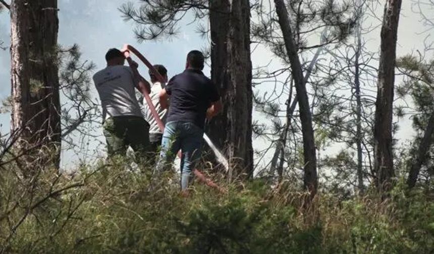 Bolu ve Düzce'de bu yıl orman yangınlarında 7 hektar zarar gördü