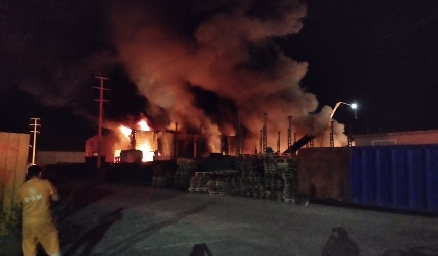 Bolu'da geri dönüşüm tesisinde yangın