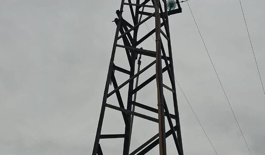 Elektrik tellerine çarpan kuş yangına neden oldu