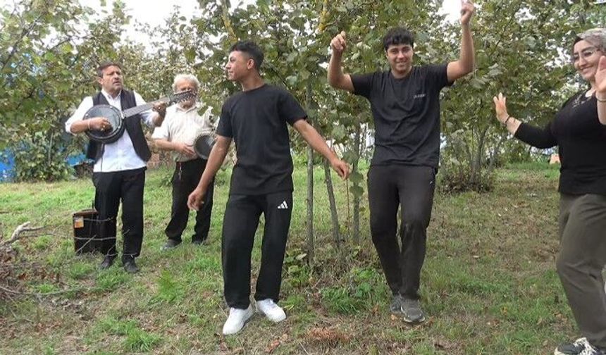 Fındık bahçesinde hasada 'çalgılı mola'