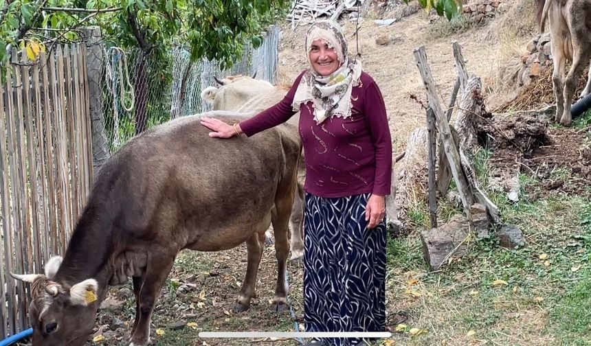 Yaylada doğal yaşamı sürdüren çiftten gençlere çağrı