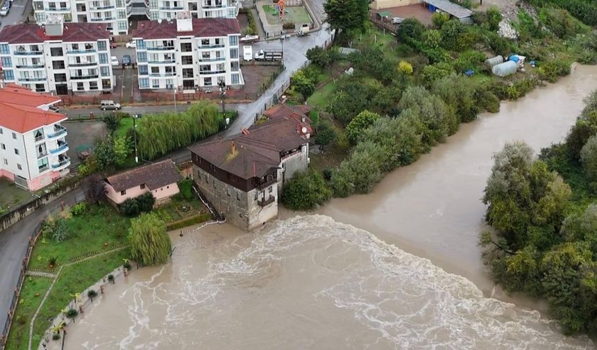 Amasra'da fırtına; çok sayıda ağaç devrildi (5)