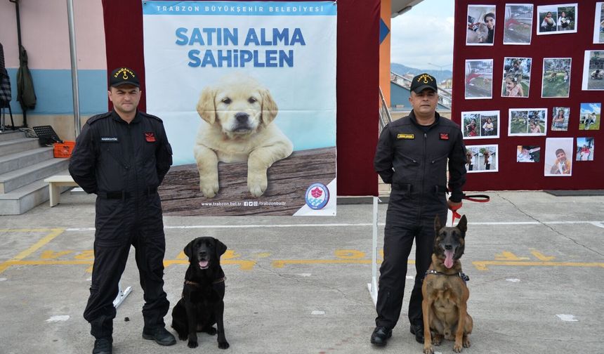 Büyükşehir'den hayvan sevgisi için renkli etkinlik