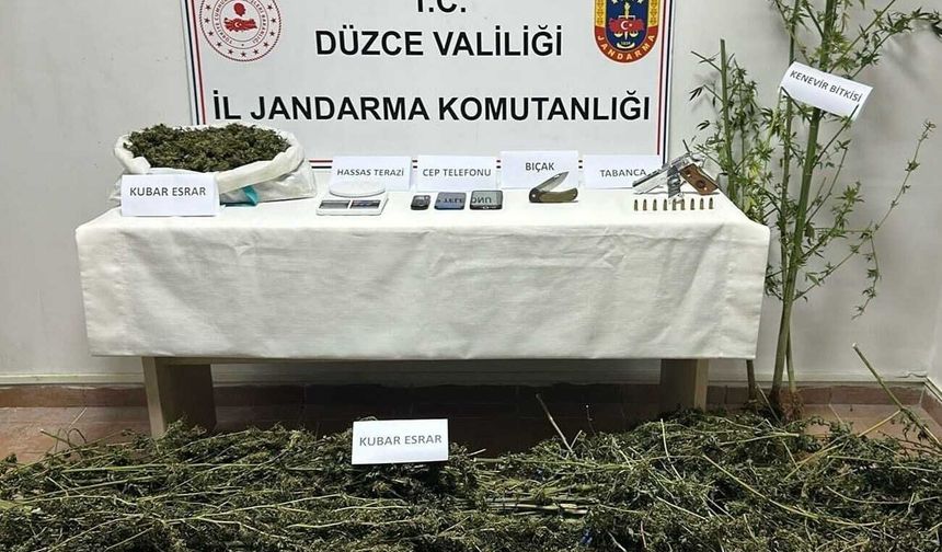 Düzce'de uyuşturucu operasyonu: 2 gözaltı