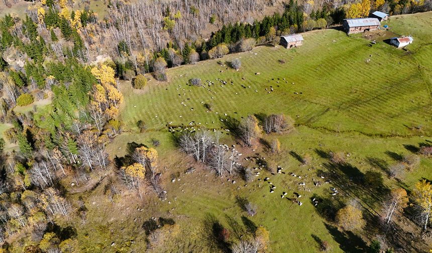 Foto safariyle ilçenin tarihi ve doğal güzelliklerini keşfettiler